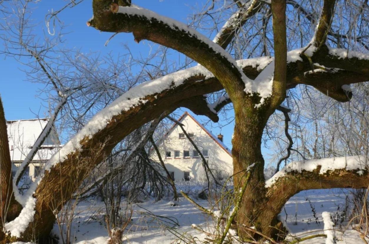 Kulturgutleben Boutiquehotel Seminarhaus Mollenbeck Exteriér fotografie